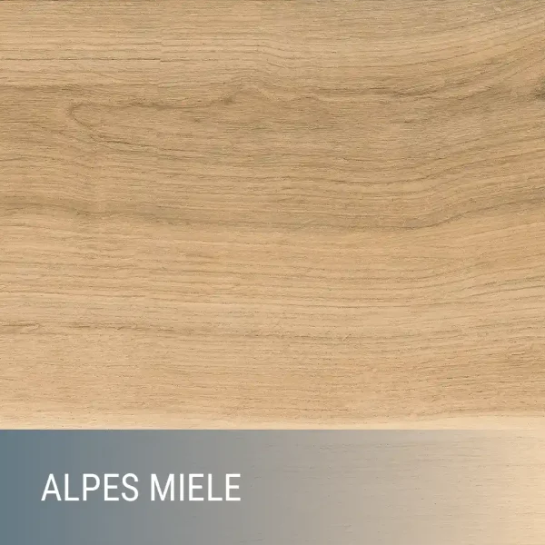 ALPES - immagine 4
