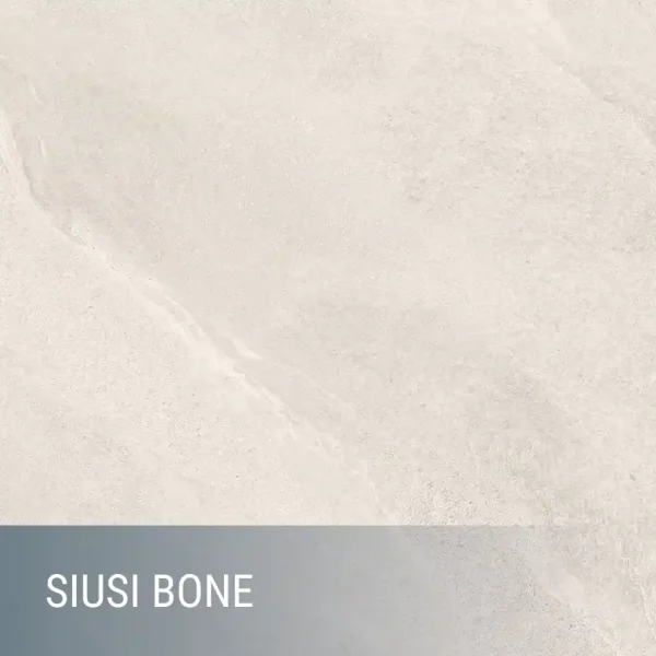 SIUSI - immagine 2